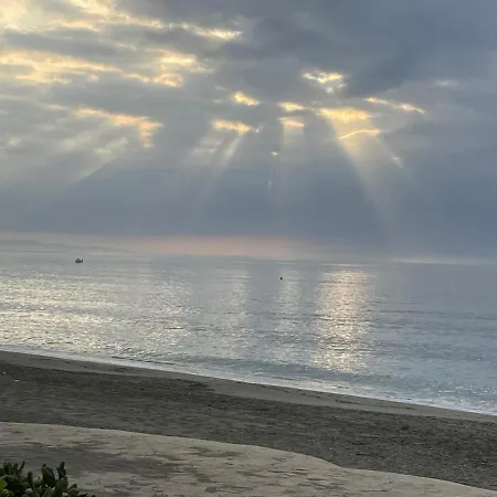 El Lobo De Mar